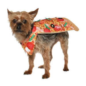 Vibrant Life Pizza Costume for Pets | XS